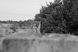 waste deposit_033